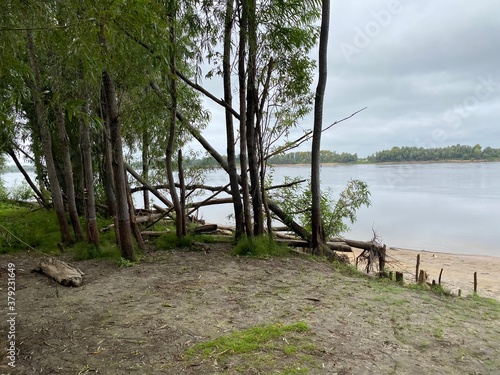 lake in the forest