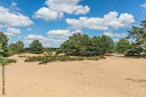 Heide en zandverstuiving bij Rozendaal op de Veluwezoom © John Hofboer
