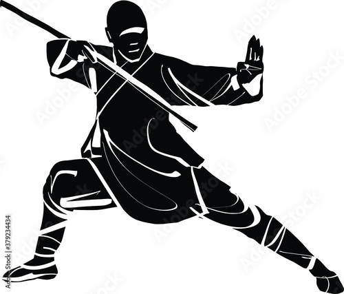 The vector illustration of the wushu fighter