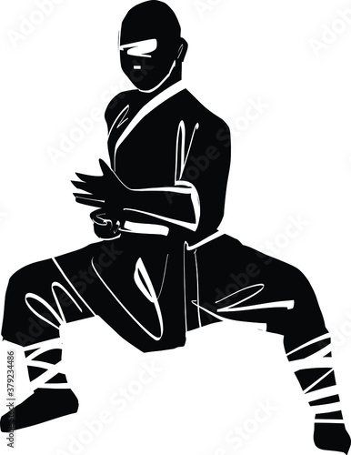 the vector illustration of the wushu master