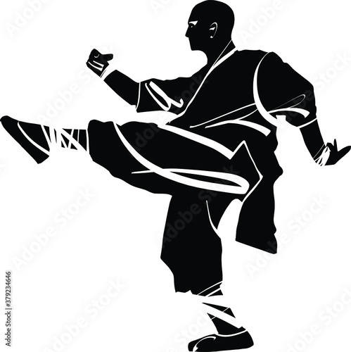 The vector illustration of the wushu fighter