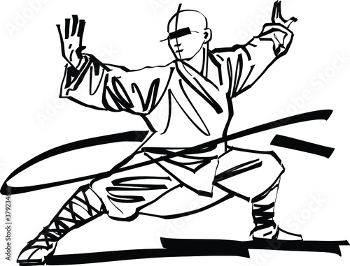 The vector illustration of the wushu fighter
