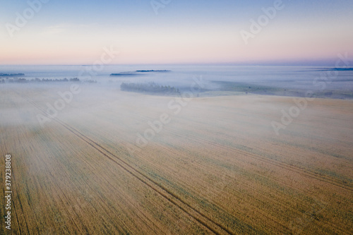 Morning fog in the meadows during sunrise in the countryside, aerial view height of the landscape on the horizon, a trees in the fog.