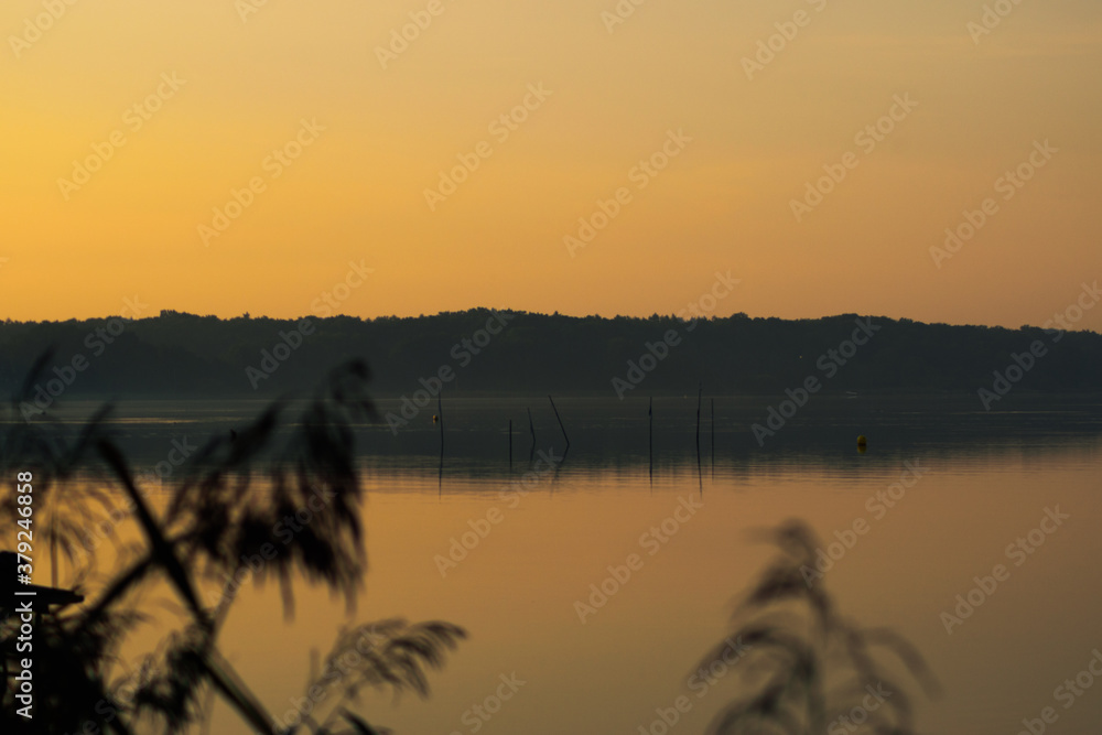 Great colorful sunrise on a calm lake with reeds on the shore