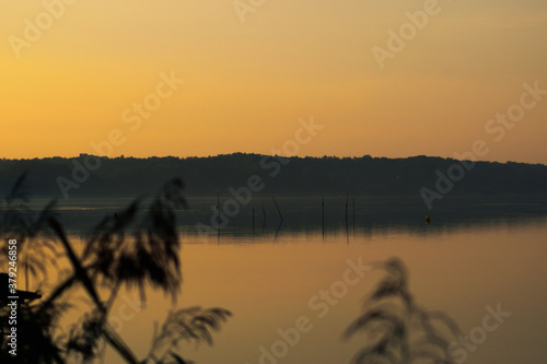 Great colorful sunrise on a calm lake with reeds on the shore