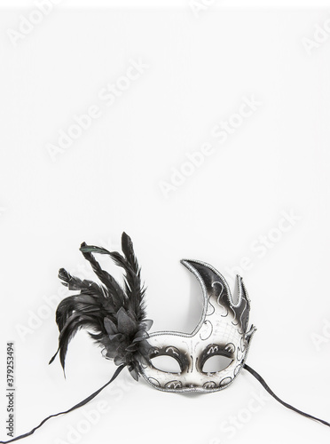 carnaval ball mask