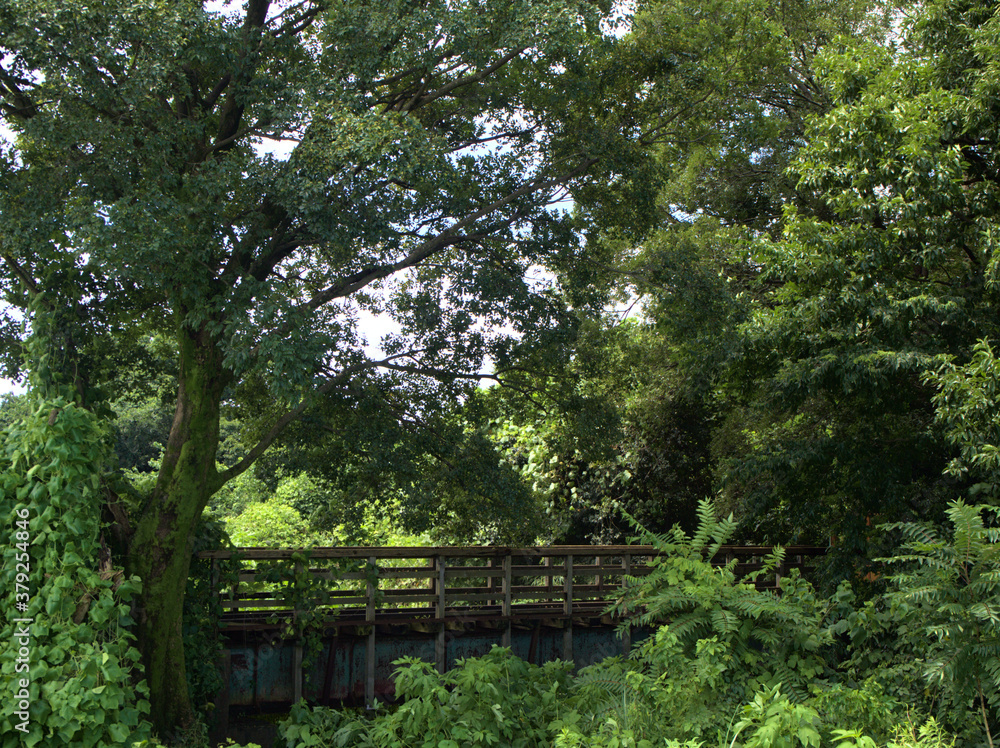 Obraz premium 廃線