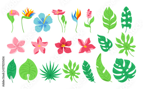 Exotic leaves and flowers cartoon set. Tropical abstract floral flat plants. Monstera, palm and wild flowers collection. Hawaiian hand drawn green jungle. Vector illustration on white background