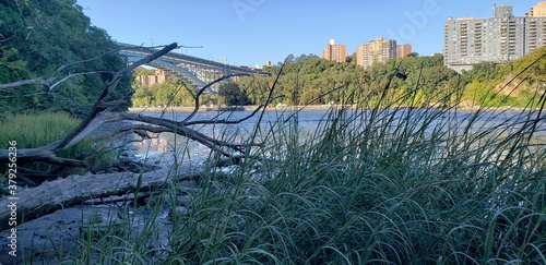 Inwood Hill Park's cove on an Autumn afternoon. The view looks over the estuary toward the Harlem River, the Bronx, and the Henry Hudson Bridge. Drift wood and marsh plants are seen in the foreground.