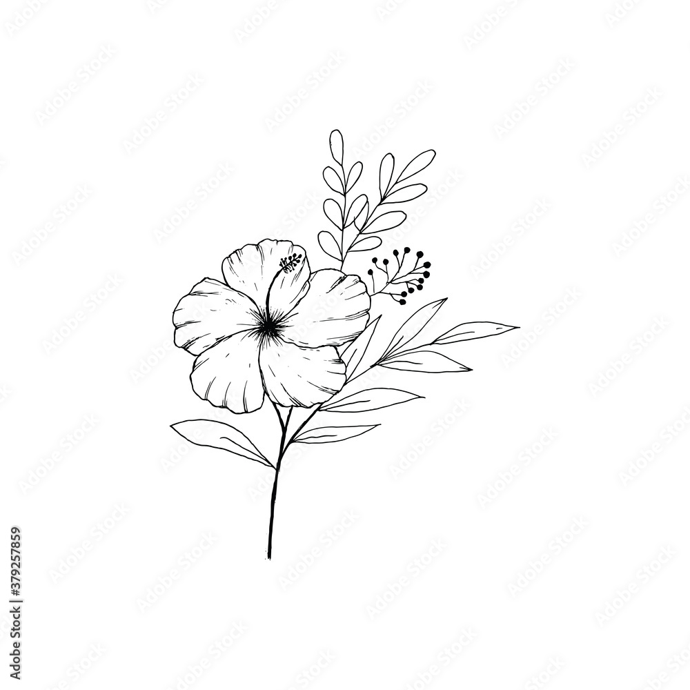 Fototapeta premium Simple and clean hand drawn floral. Sketch style botanical illustration. Great for invitation, greeting card, packages, wrapping, etc. 