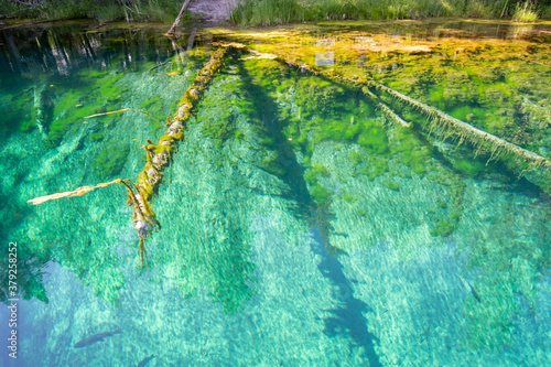 Crystal Clear and vivid colors spring water of Kitch-iti-kipi, the Big Spring at Palms Book State Park in Michigan upper peninsula