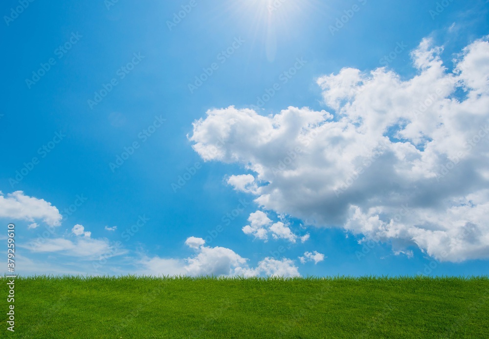 Cloudy sky and green grass in nature concept Cloudy sky and green grass in nature concept