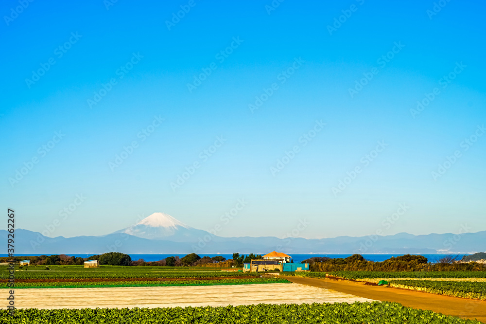 【冬の富士山】三浦半島から見る、富士山