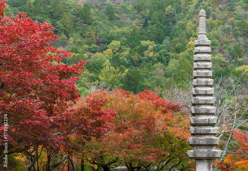 Stone Pagoda in Arashiyama, Kyoto, Japan in Autumn season photo