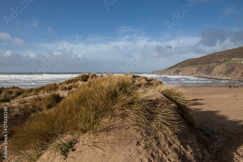 Fototapeta Naklejka Na Ścianę i Meble -  sandy dune beaches