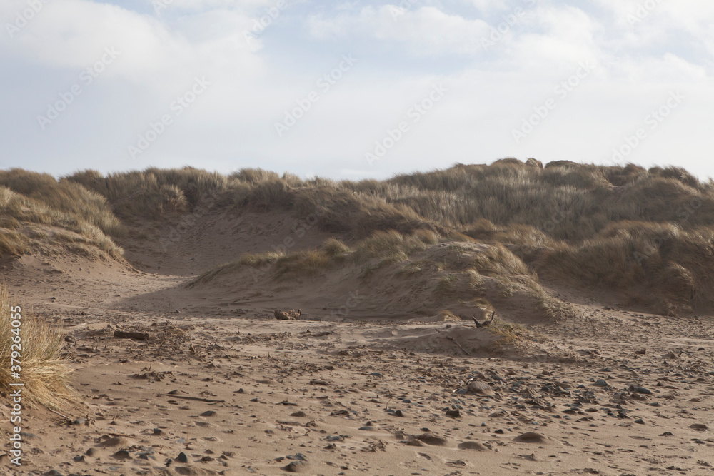 sandy dunes at beach