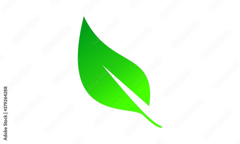 leaf vector leaf vector