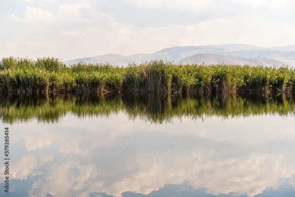 The view of a wetland reeds. Sultan sazligi in Kayseri