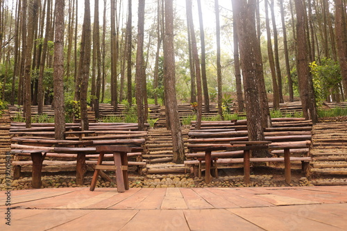 Pine forests Mangunan is an exotic romantic jungle located in Mangunan Village, Dlingo, Bantul Regency, Yogyakarta. photo