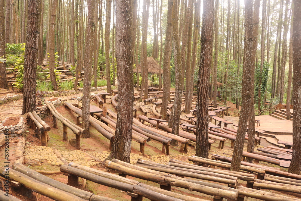 Pine forests Mangunan is an exotic romantic jungle located in Mangunan Village, Dlingo, Bantul Regency, Yogyakarta. Pine forests Mangunan is an exotic romantic jungle located in Mangunan Village, Dlingo, Bantul Regency, Yogyakarta.