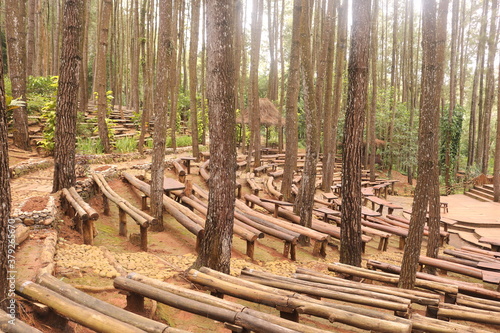 Pine forests Mangunan is an exotic romantic jungle located in Mangunan Village  Dlingo  Bantul Regency  Yogyakarta.