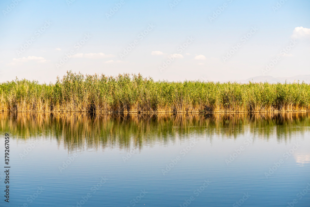 The view of a wetland reeds. Sultan sazligi in Kayseri