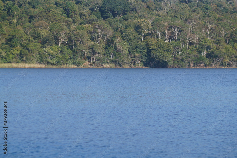 blue lake with a horizon of a forest in the mountains
