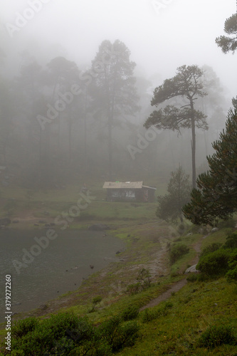 cabin beside Iturbide lake with fog on fall morning in mexican forest