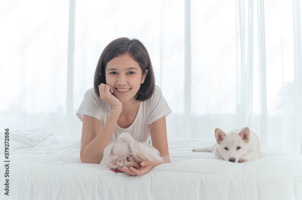 Young asian woman lying in white bed with maltese and white Shiba Inu puppy, Cheerful and nice couple with people and pet. Pet Lover concept Young asian woman lying in white bed with maltese and white Shiba Inu puppy, Cheerful and nice couple with people and pet. Pet Lover concept