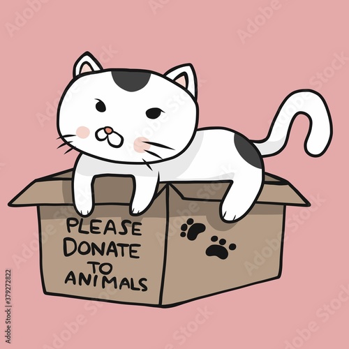 Cat in please donate to animals box cartoon vector illustration