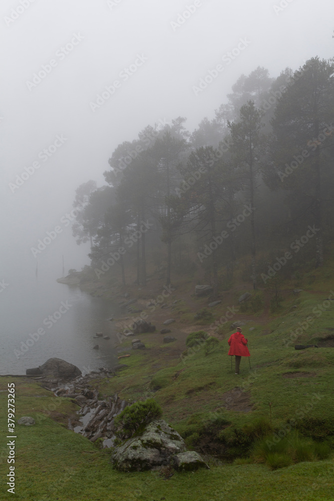fog on fall morning in mexican forest beside Iturbide lake fog on fall morning in mexican forest beside Iturbide lake