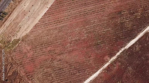 Top view Aerial shot of Baja California vineyards eroded soils photo