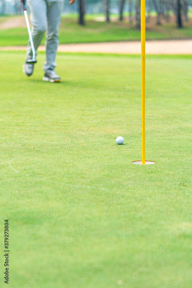 Obraz premium Golfer preparing for a putt Golf ball on the green during golfcourse.