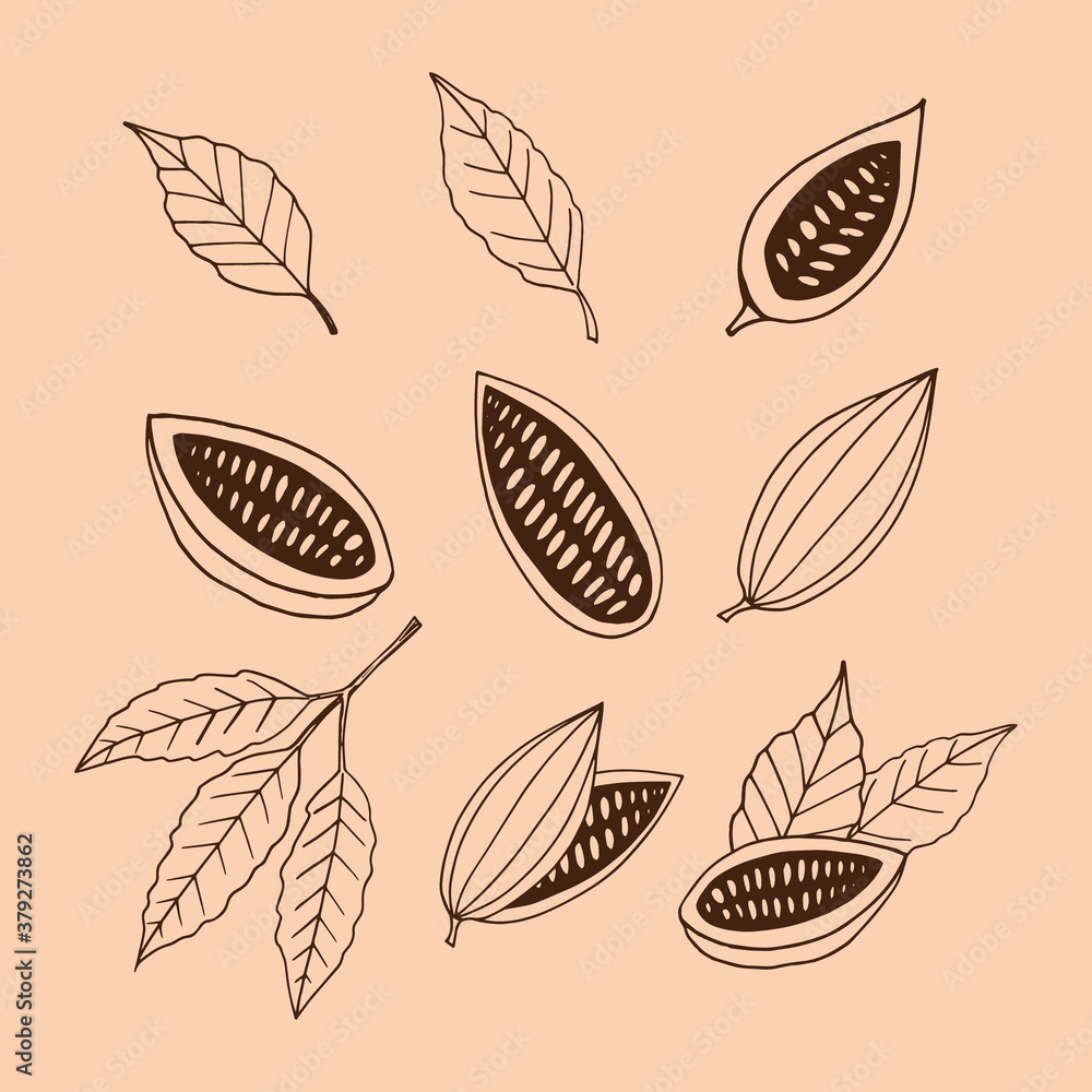 cocoa beans with leaves hand drawn vector set doodle. collection for design icon, poster, label, menu, card, sticker. food, plant, brown, craft paper background, vintage cocoa beans with leaves hand drawn vector set doodle. collection for design icon, poster, label, menu, card, sticker. food, plant, brown, craft paper background, vintage