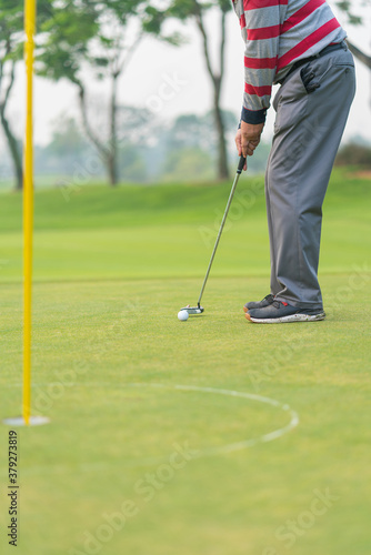 Golfer preparing for a putt Golf ball on the green during golfcourse.