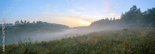 Beautiful summer hazy landscape with foggy hollow and green hills before the sunrise.