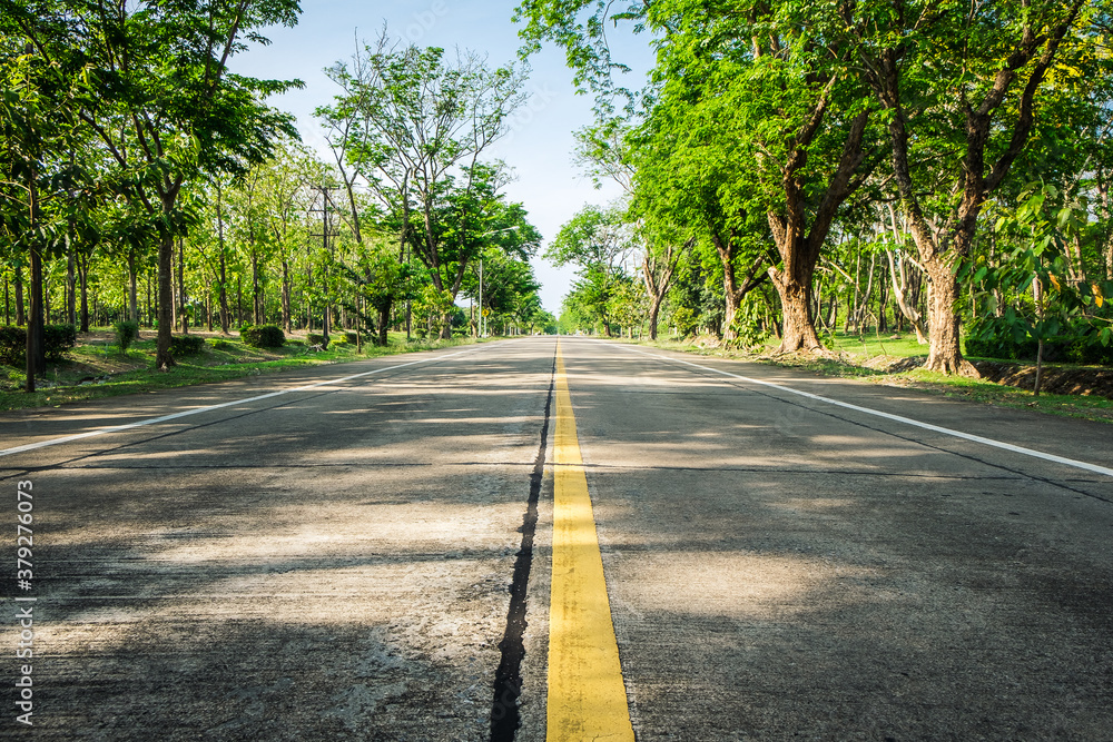 Obraz premium Empty asphalt road through the green field and tree on the forest in summer day. Highway in rural scenes use land transport and traveling background. Trip and journey perspective concept.
