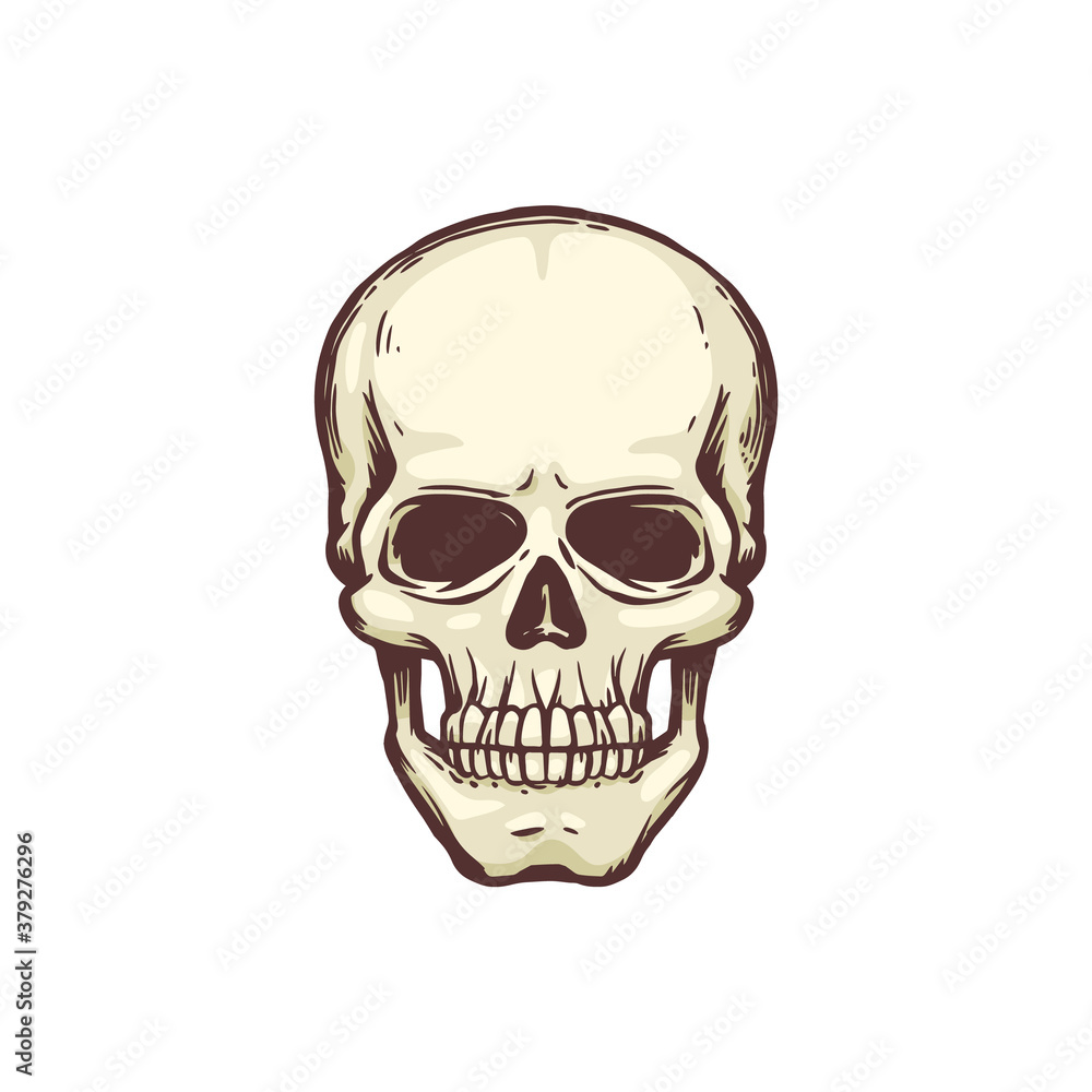 Black and white skull bone vector illustration isolated on white background.
