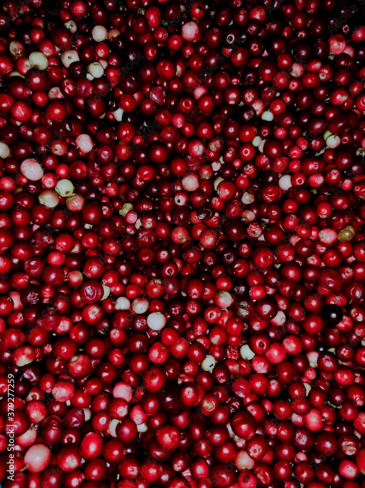background of currant background of currant