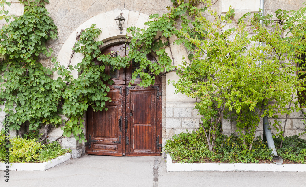Old house wall with wooden door and green vine Old house wall with wooden door and green vine
