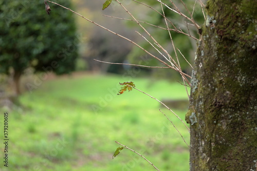 the period of early autumn