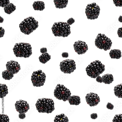 Konstfotografi Falling Bramble Seamless pattern