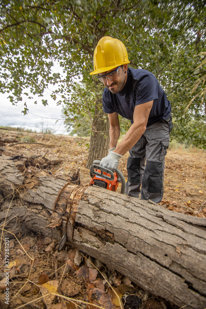 lumberjack with chainsaw in forest lumberjack with chainsaw in forest