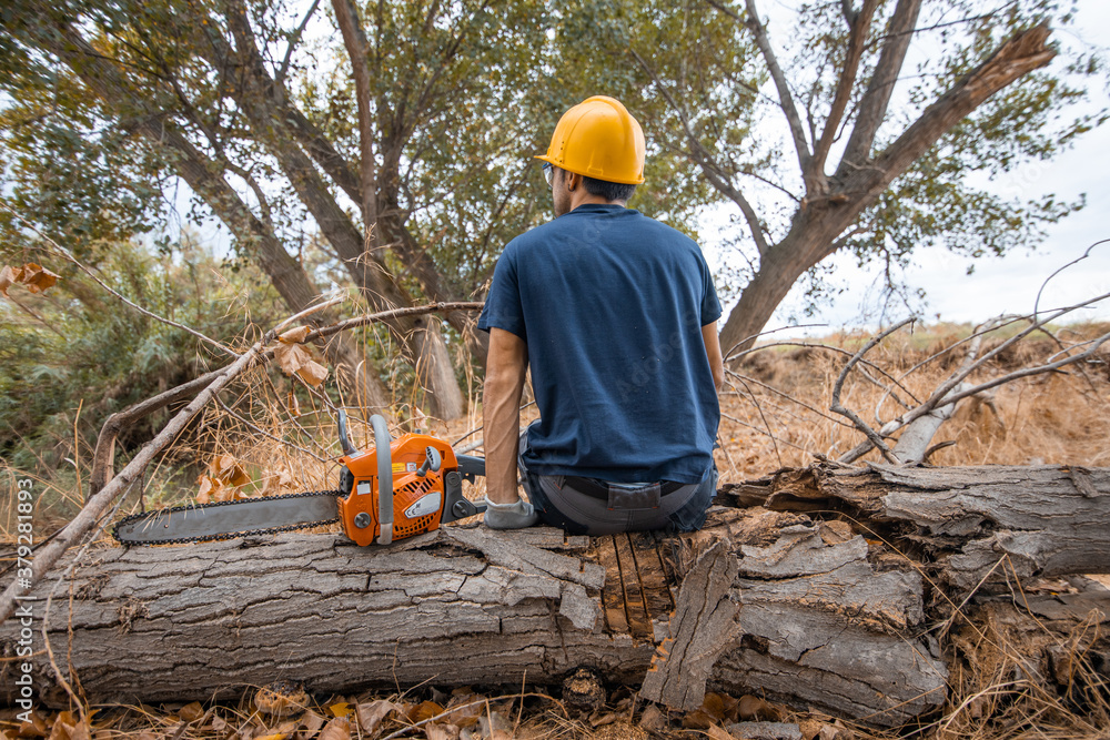 lumberjack with chainsaw in forest