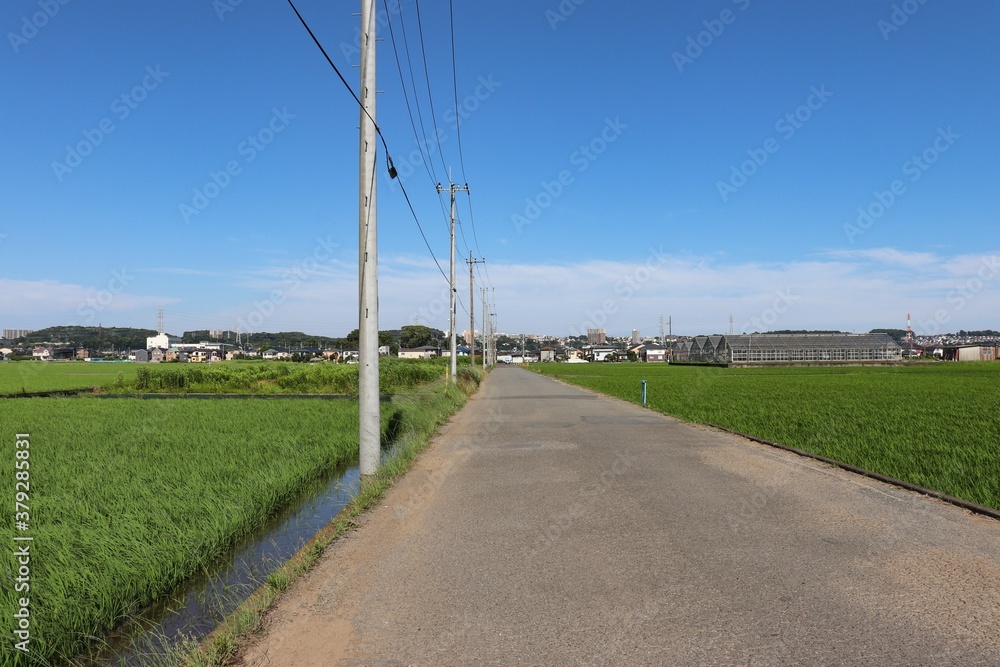 舗装された農道（神奈川県座間市）