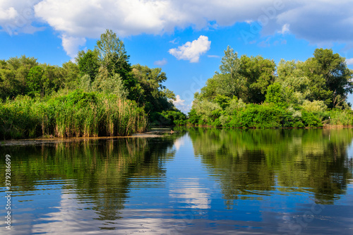 Summer landscape with beautiful river, green trees and blue sky