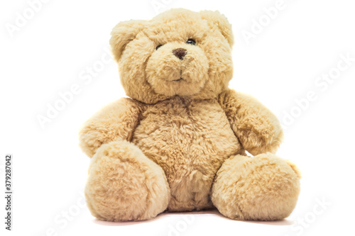 Cute brown teddy bear isolated on white background. Toy animal doll plush stuffed sitting in the studio.