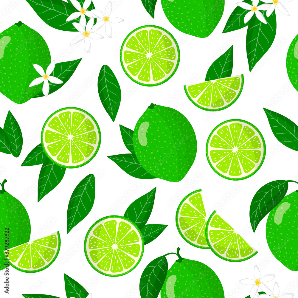 Vector cartoon seamless pattern with Citrus aurantiifolia or Key lime exotic fruits flowers and leaf on white background