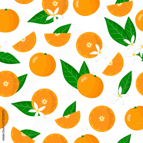 Vector cartoon seamless pattern with Citrus Mandarin orange exotic fruits, flowers and leafs on white background