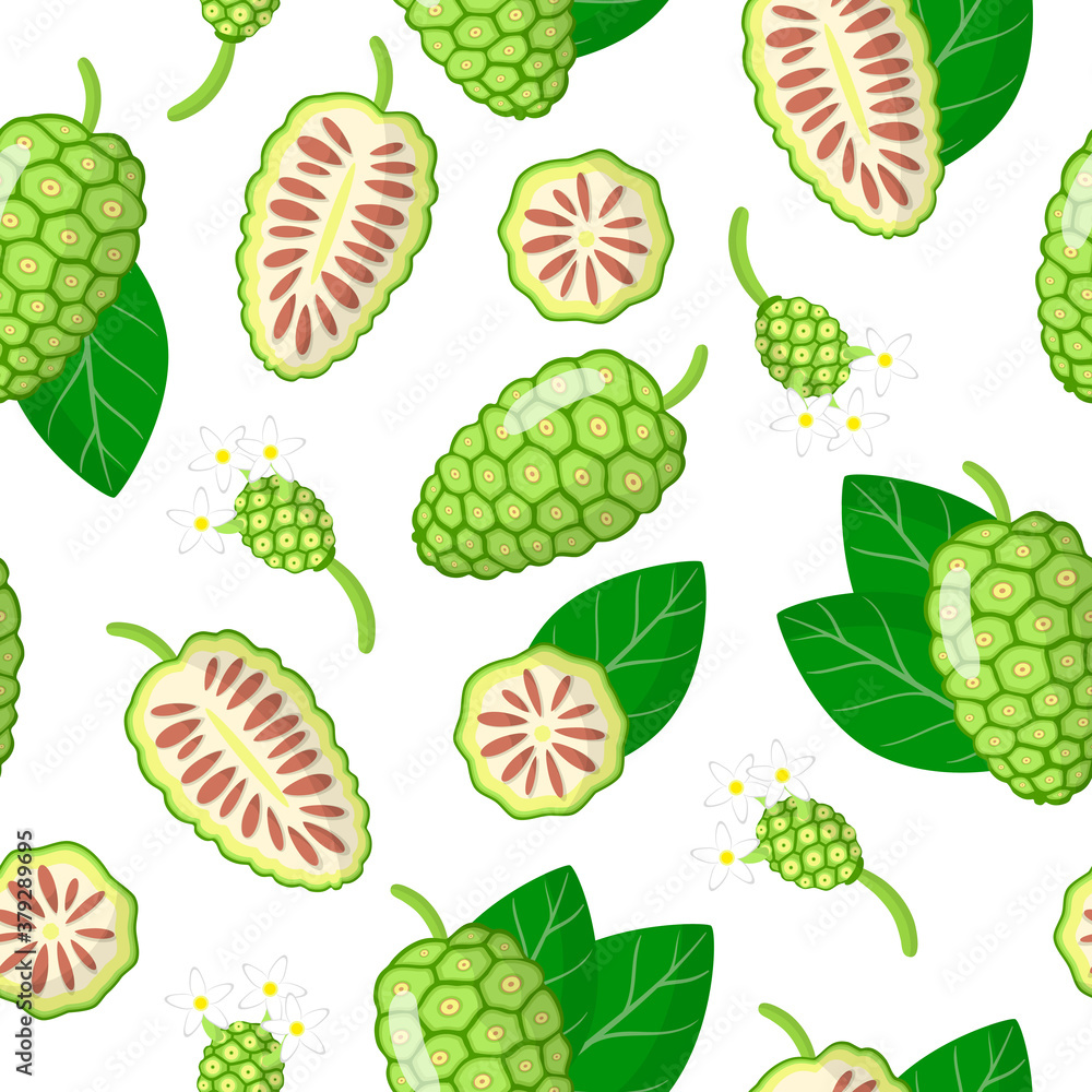 Vector cartoon seamless pattern with Morinda citrifolia or noni exotic fruits, flowers and leafs on white background Vector cartoon seamless pattern with Morinda citrifolia or noni exotic fruits, flowers and leafs on white background